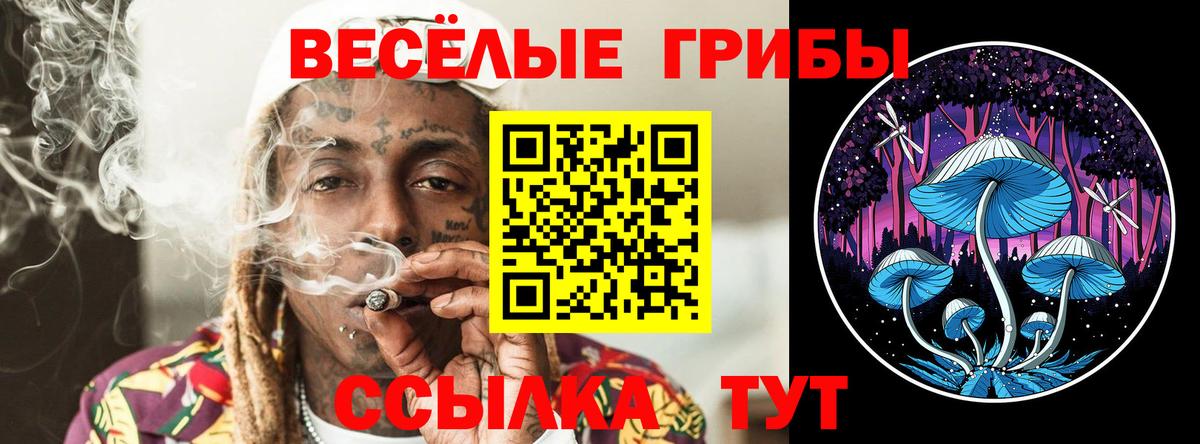 Галлюциногенные грибы Psilocybine cubensis Нарьян-Мар